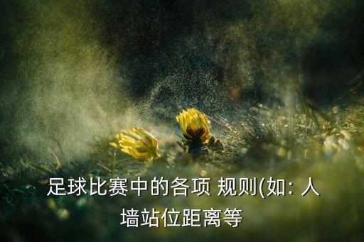 7人足球任意球人墻規(guī)則,足球任意球人墻是怎樣設(shè)置的