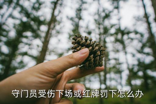 守門員受傷下場或紅牌罰下怎么辦