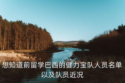 想知道前留學(xué)巴西的健力寶隊(duì)人員名單以及隊(duì)員近況