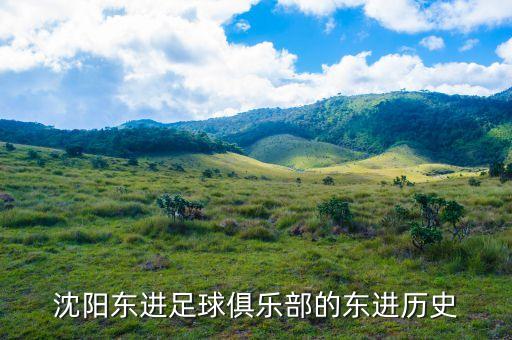 沈陽城建足球隊球衣,2022沈陽城建足球隊