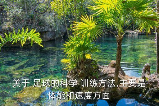 關于 足球的科學 訓練方法,主要是體能和速度方面