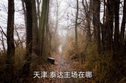 天津 泰達主場在哪