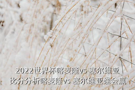 足球隊(duì)怎么樣塞爾維亞,塞爾維亞國(guó)家足球隊(duì)最新名單