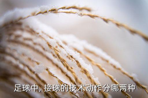  足球中, 接球的技術(shù)動(dòng)作分哪兩種