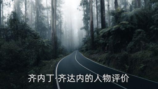 齊內(nèi)丁·齊達內(nèi)的人物評價
