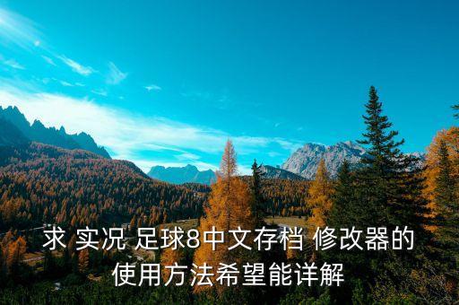 求 實況 足球8中文存檔 修改器的使用方法希望能詳解