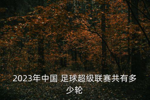 2023年中國(guó) 足球超級(jí)聯(lián)賽共有多少輪