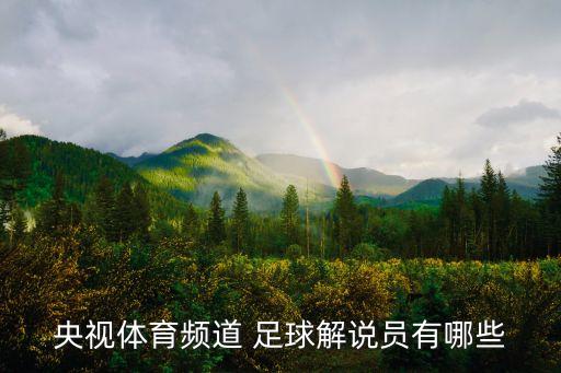 劉建宏世界杯中國(guó)足球