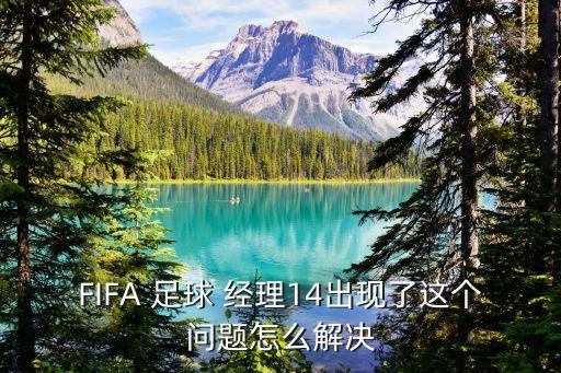 FIFA 足球 經(jīng)理14出現(xiàn)了這個(gè)問題怎么解決