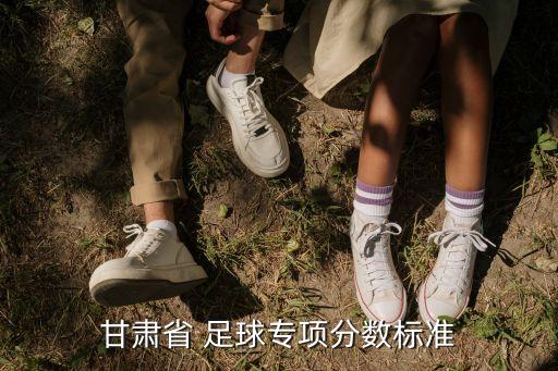 甘肅省 足球?qū)ｍ?xiàng)分?jǐn)?shù)標(biāo)準(zhǔn)