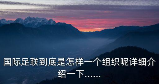 國際足聯(lián)到底是怎樣一個組織呢詳細(xì)介紹一下……
