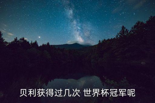 比利進入足球世界杯,足球進入世界杯的條件