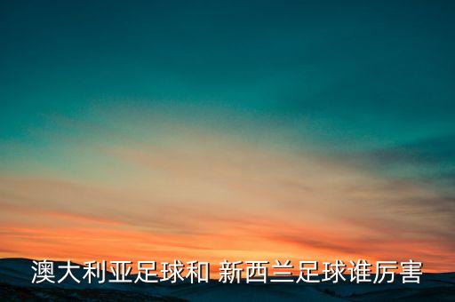 新西蘭的足球隊