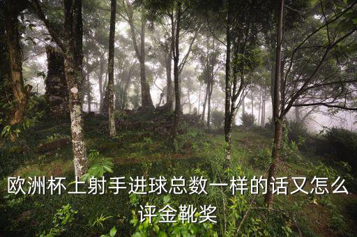 足球進(jìn)球數(shù)一樣,足球世界杯進(jìn)球數(shù)排名