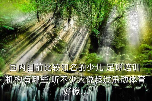國(guó)內(nèi)目前比較知名的少兒 足球培訓(xùn) 機(jī)構(gòu)有哪些,聽(tīng)不少人說(shuō)起過(guò)樂(lè)動(dòng)體育好像...