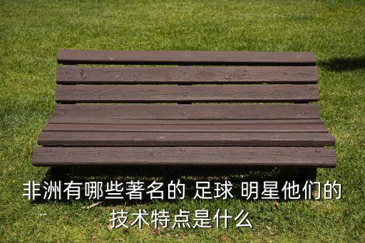 非洲有哪些著名的 足球 明星他們的技術(shù)特點(diǎn)是什么