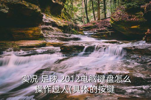  實(shí)況 足球 2012電腦鍵盤怎么操作過(guò)人(具體的按鍵