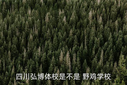 野雞足球,野雞室內(nèi)足球直播