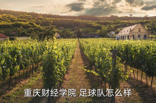 重慶財(cái)經(jīng)學(xué)院 足球隊(duì)怎么樣