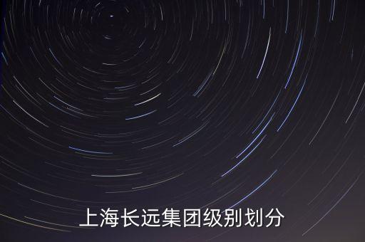 上海長(zhǎng)遠(yuǎn)集團(tuán)級(jí)別劃分