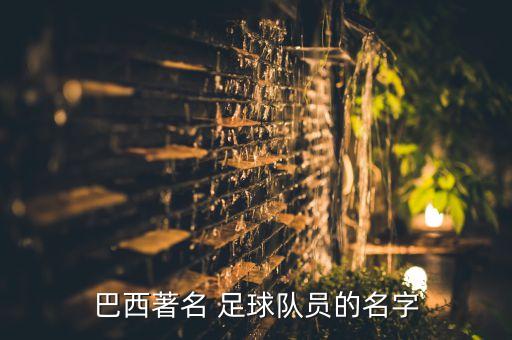 巴西著名 足球隊(duì)員的名字