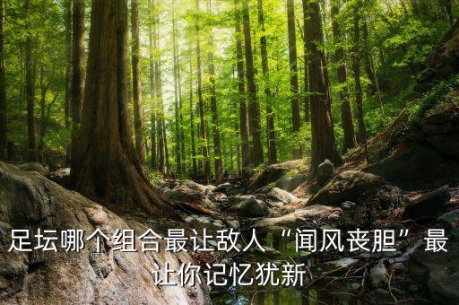 足壇哪個組合最讓敵人“聞風喪膽”最讓你記憶猶新