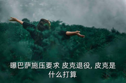 曝巴薩施壓要求 皮克退役, 皮克是什么打算