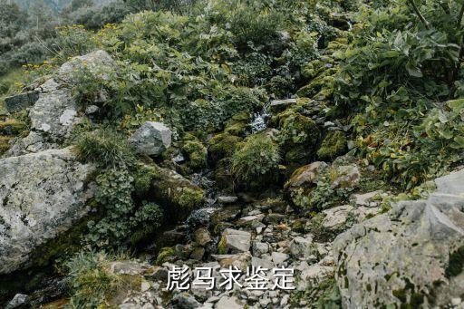彪馬求鑒定