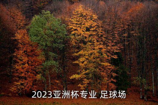 2023亞洲杯專業(yè) 足球場