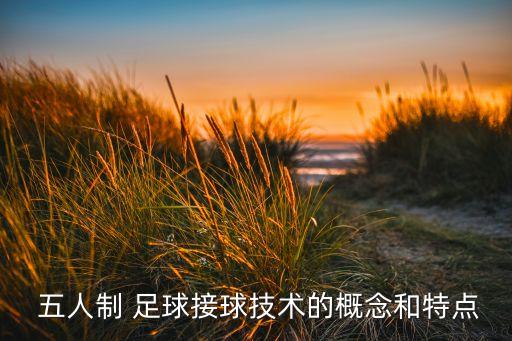  五人制 足球接球技術的概念和特點