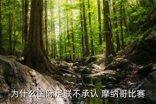 為什么國際足聯(lián)不承認 摩納哥比賽