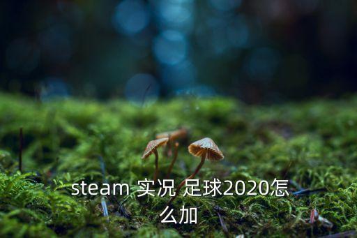  steam 實(shí)況 足球2020怎么加