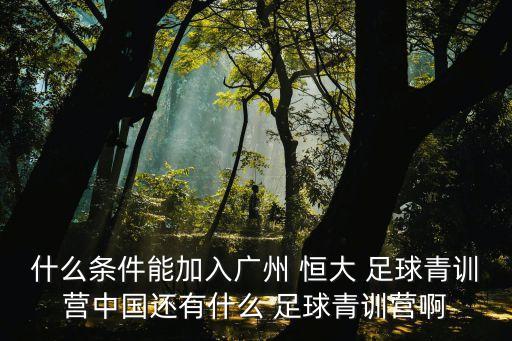 廣州恒大足球俱樂部梯隊(duì)招生,浙江綠城足球俱樂部梯隊(duì)招生