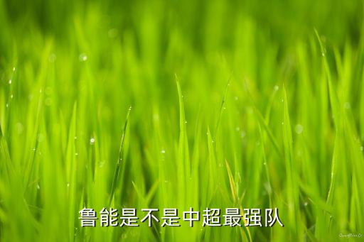 魯能是不是中超最強隊