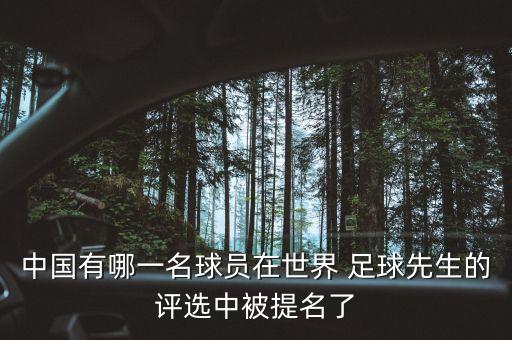 中國有哪一名球員在世界 足球先生的評選中被提名了