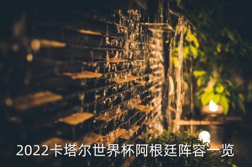 2022卡塔爾世界杯阿根廷陣容一覽