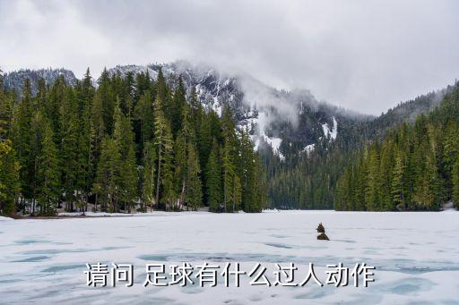 請(qǐng)問 足球有什么過人動(dòng)作