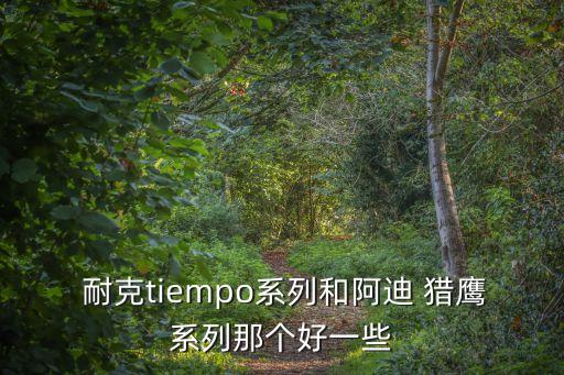 耐克足球鞋獵鷹歐版