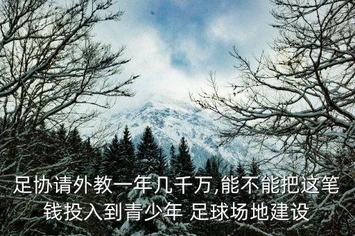 足協(xié)請外教一年幾千萬,能不能把這筆錢投入到青少年 足球場地建設(shè)