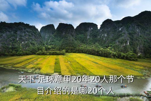  天下 足球意甲20年20人那個節(jié)目介紹的是哪20個人