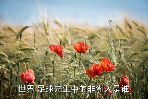 95年足球