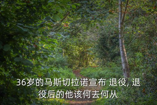 退役的邊路足球明星,退役足球明星排名前十