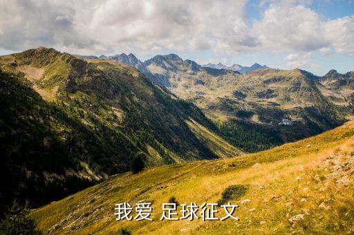 我愛 足球征文
