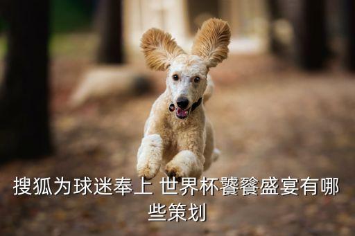 搜狐為球迷奉上 世界杯饕餮盛宴有哪些策劃