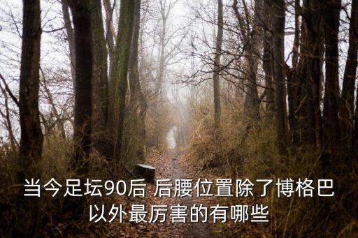 當今足壇90后 后腰位置除了博格巴以外最厲害的有哪些