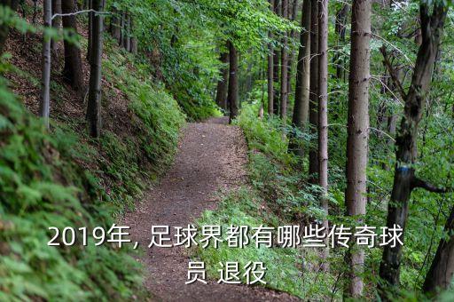 2019年, 足球界都有哪些傳奇球員 退役