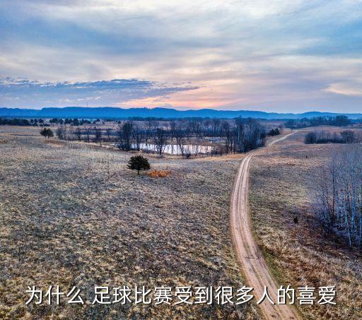 為什么 足球比賽受到很多人的喜愛