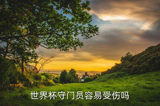 世界杯守門員容易受傷嗎