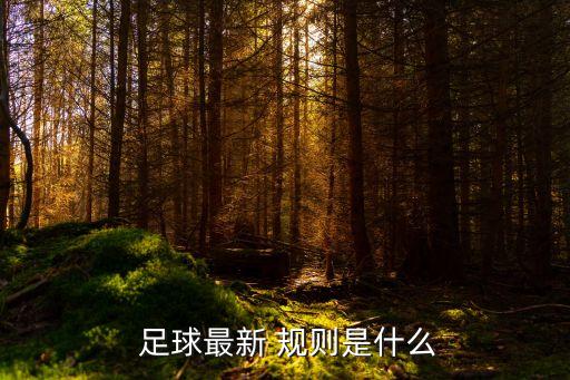  足球最新 規(guī)則是什么