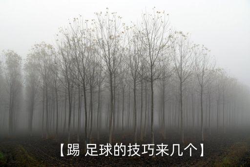 【踢 足球的技巧來幾個(gè)】